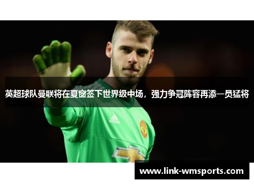 英超球队曼联将在夏窗签下世界级中场，强力争冠阵容再添一员猛将
